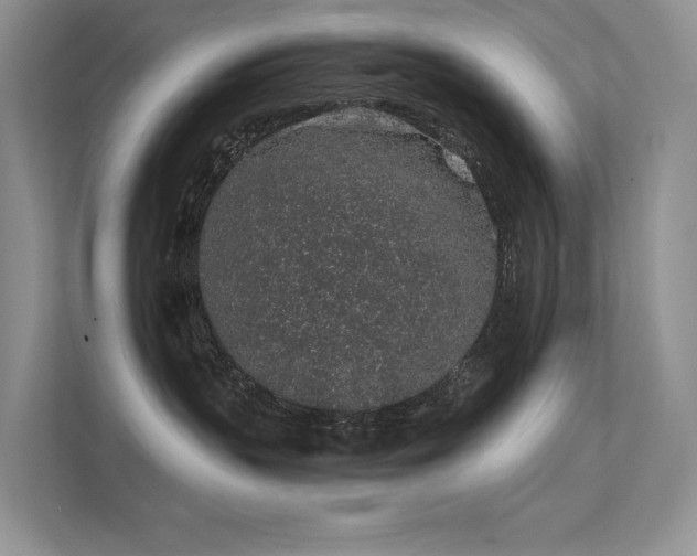 X0000112380383200908131534