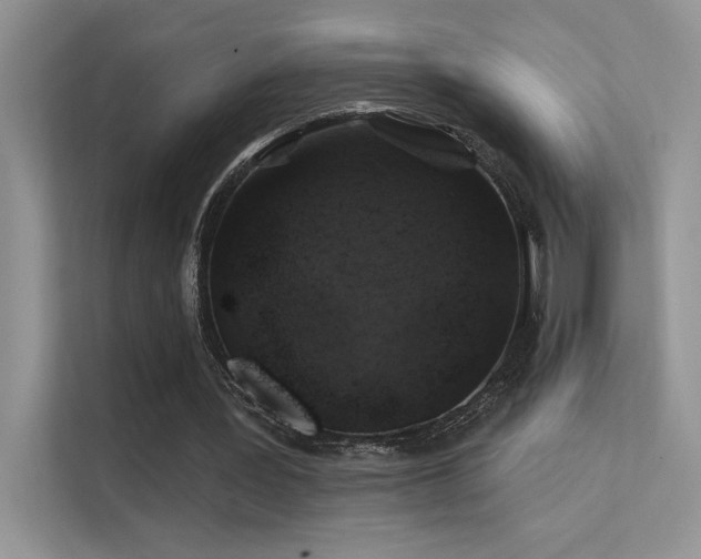 X0000112380387200908131533