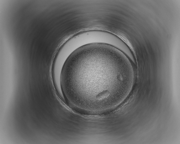 X0000112380389200908131533