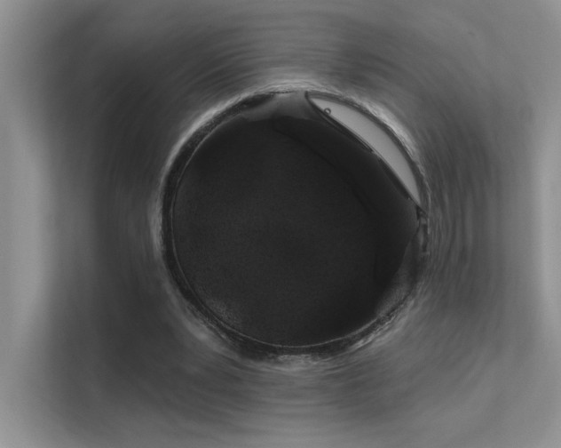 X0000112380391200908131533