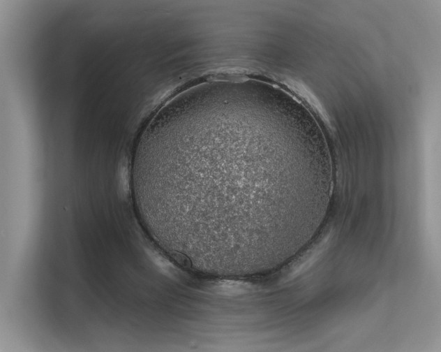 X0000112380393200908131533