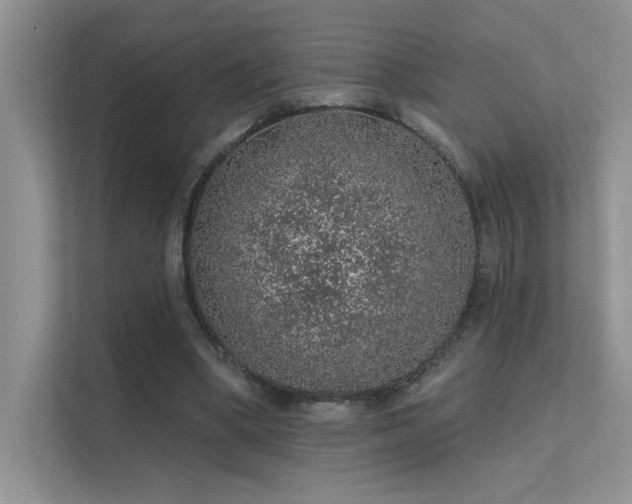 X0000112380394200908131533