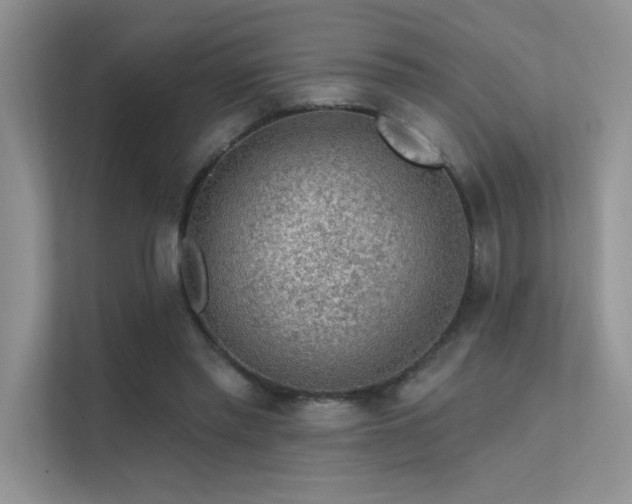 X0000112380397200908131533