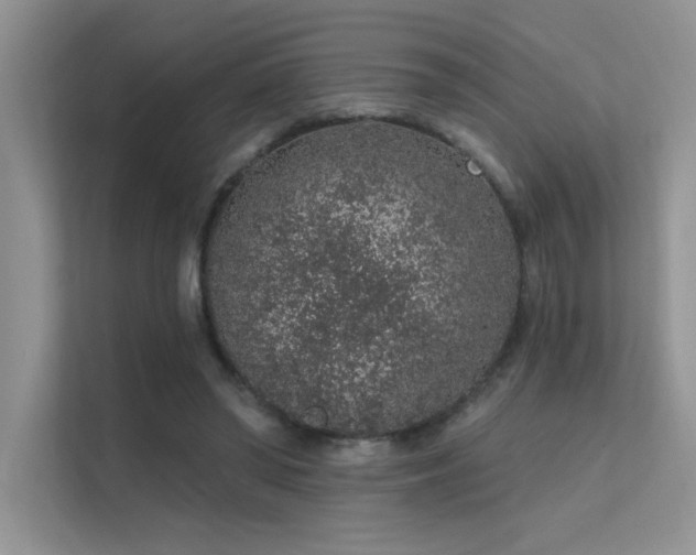 X0000112380398200908131533