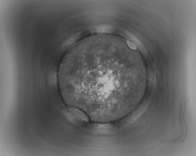 X0000112380401200908131533