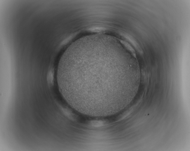 X0000112380404200908131533