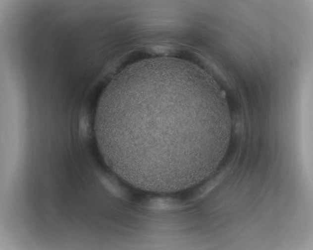 X0000112380408200908131533