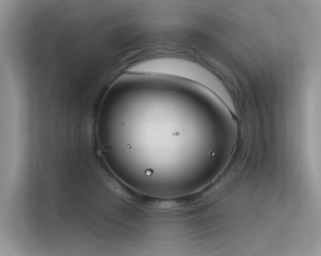 X0000112380409200908131533