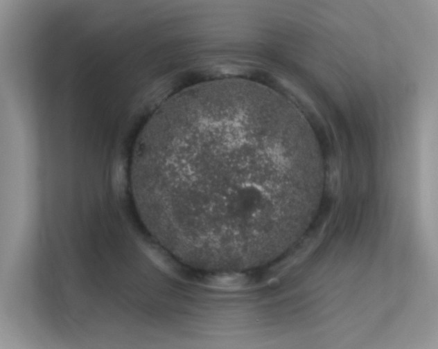 X0000112380410200908131533