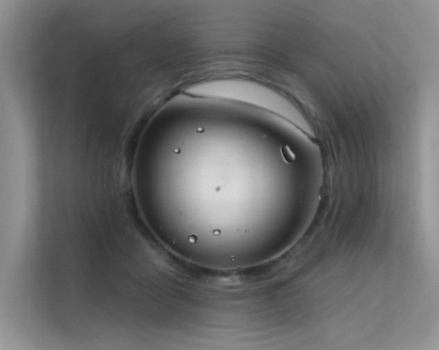 X0000112380411200908131533