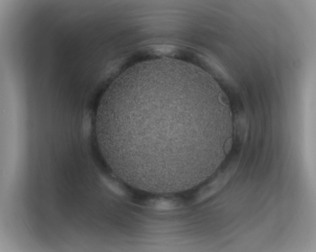 X0000112380412200908131533