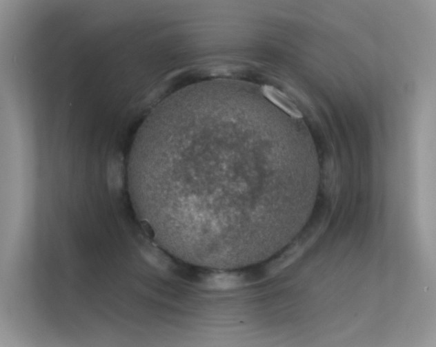 X0000112380413200908131533