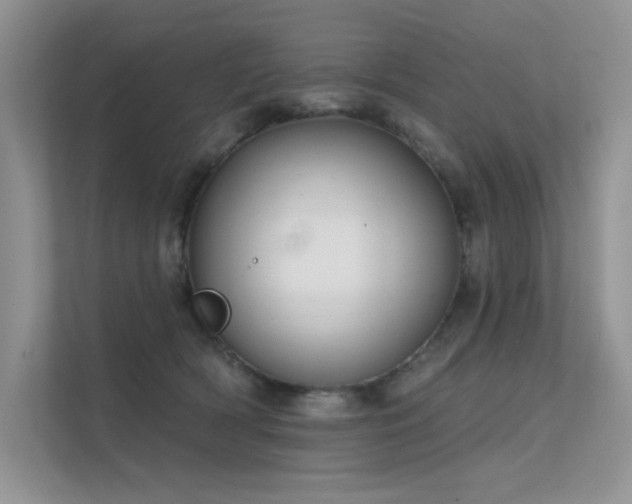 X0000112380418200908131533