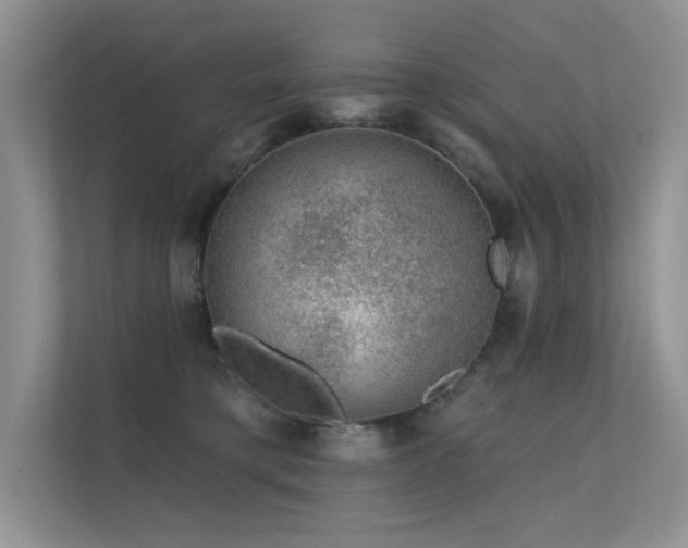 X0000112380421200908131533