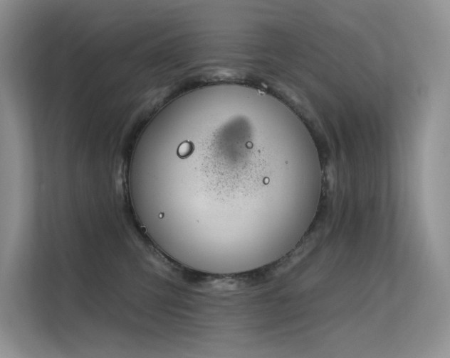 X0000112380423200908131533