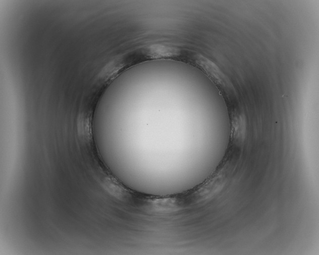 X0000112380426200908131533