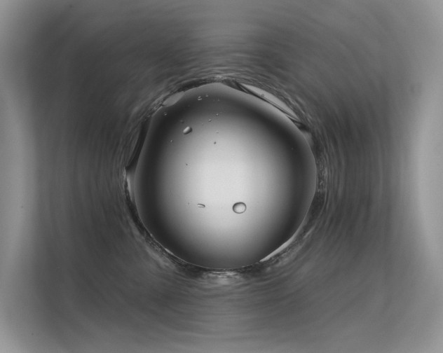 X0000112380427200908131533