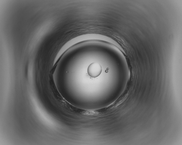 X0000112380429200908131533