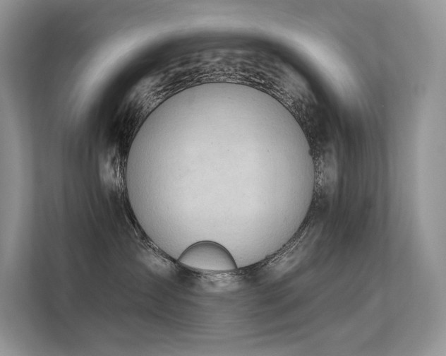 X0000112380431200908131533