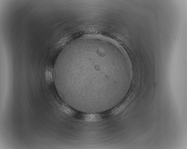 X0000112380432200908131533