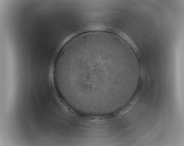 X0000112380434200908131532