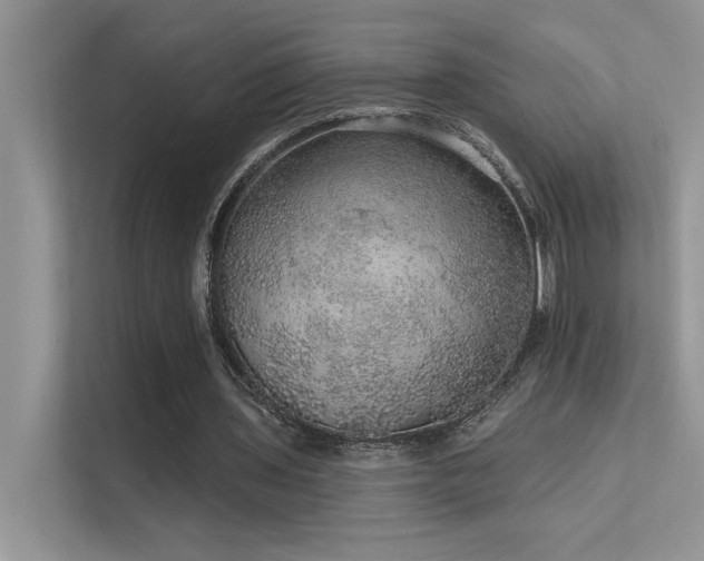 X0000112380435200908131532