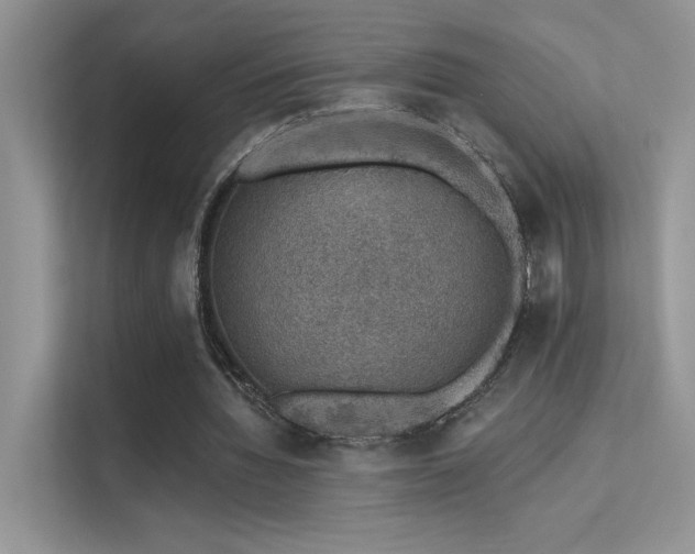 X0000112380436200908131532