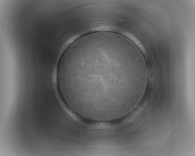 X0000112380437200908131532