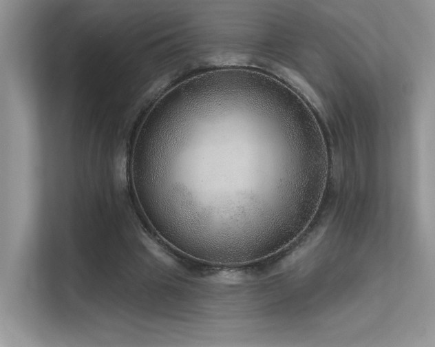 X0000112380441200908131532