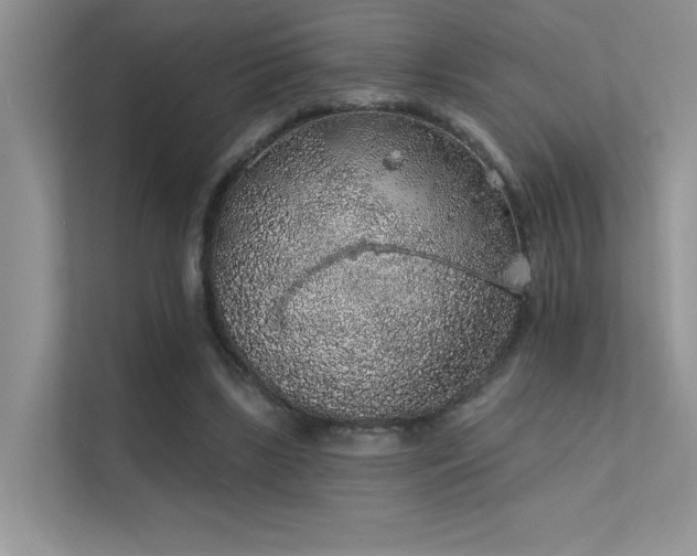 X0000112380443200908131532