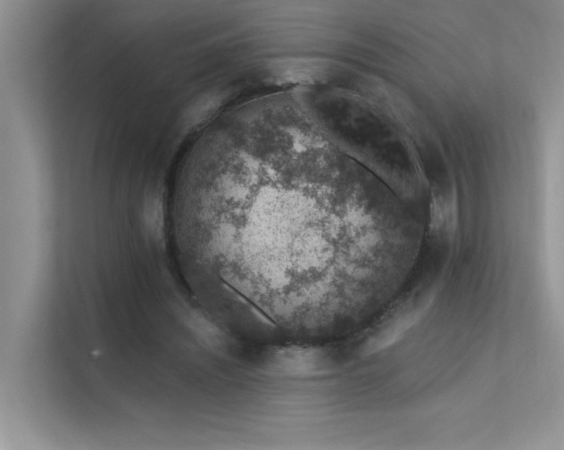 X0000112380444200908131532