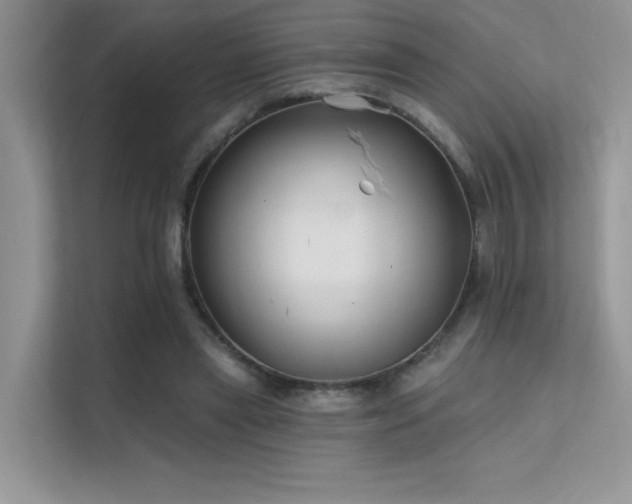 X0000112380445200908131532