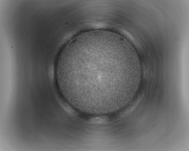 X0000112380447200908131532