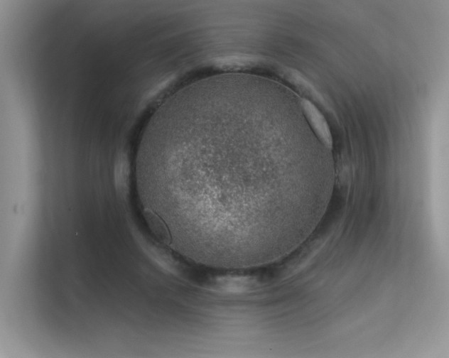 X0000112380448200908131532