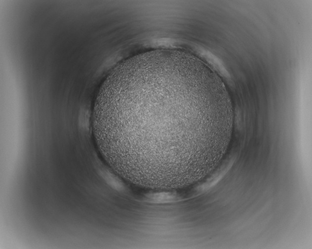 X0000112380449200908131532