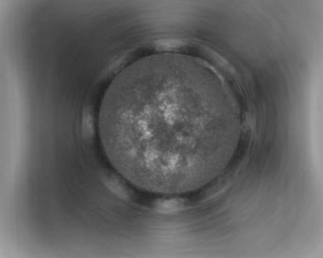 X0000112380452200908131532