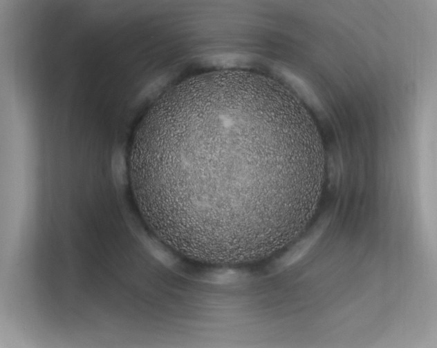 X0000112380453200908131532