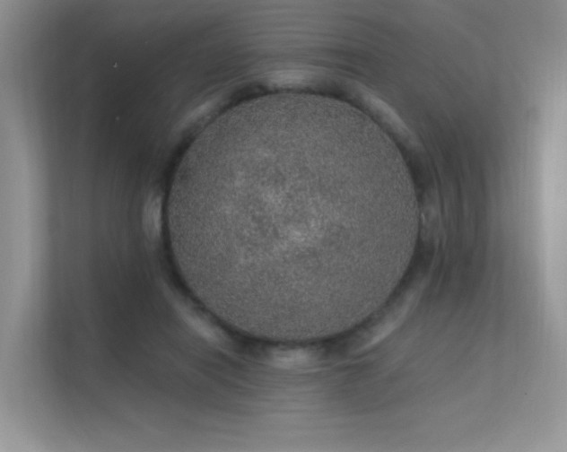 X0000112380454200908131532