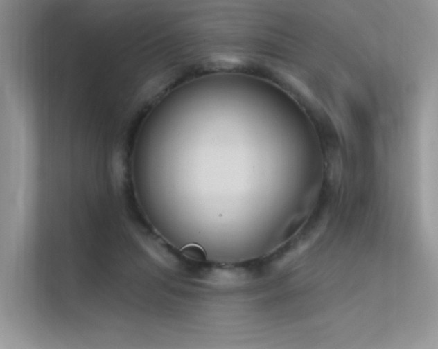 X0000112380455200908131532