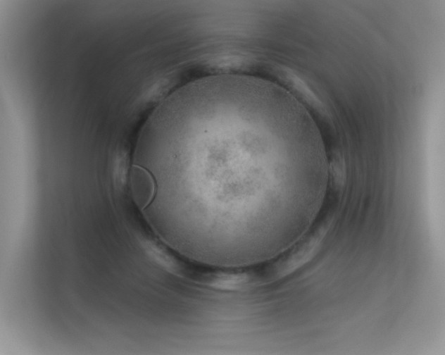 X0000112380458200908131532