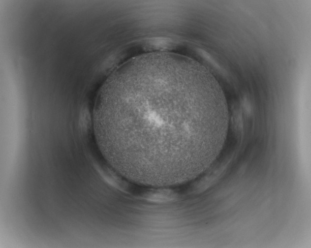 X0000112380459200908131532