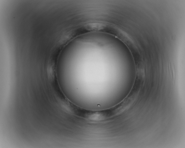 X0000112380460200908131532