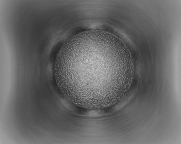 X0000112380461200908131532