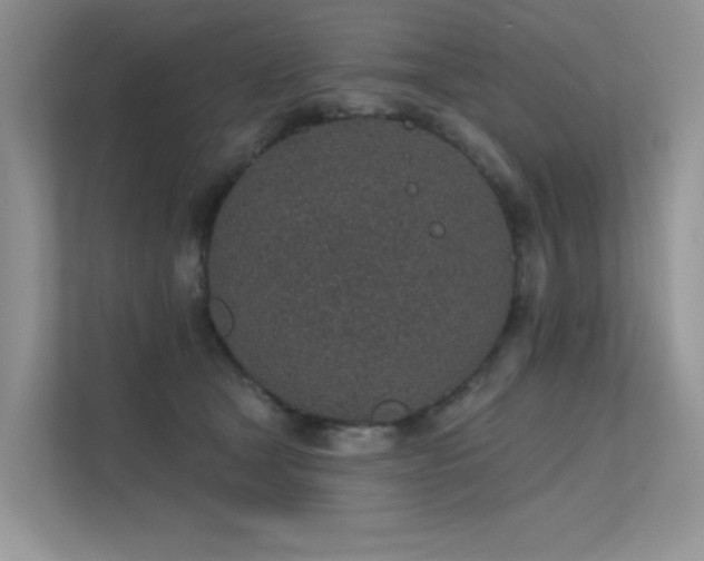 X0000112380465200908131532