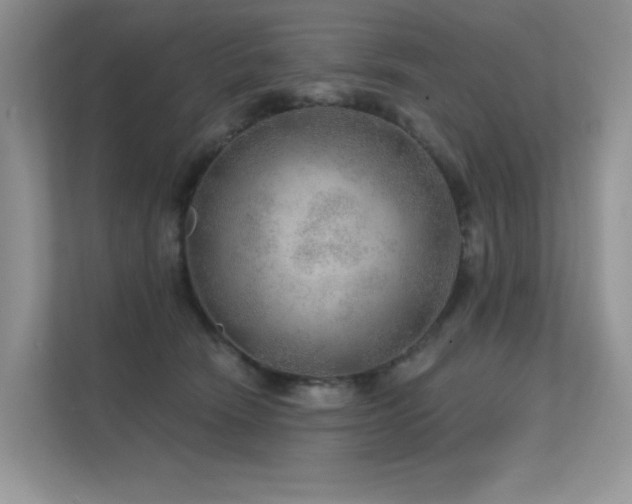 X0000112380466200908131532