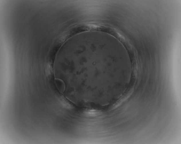 X0000112380467200908131532