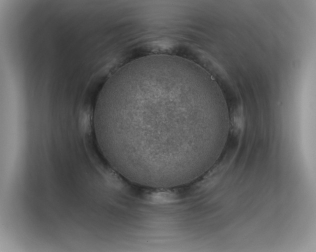 X0000112380468200908131532