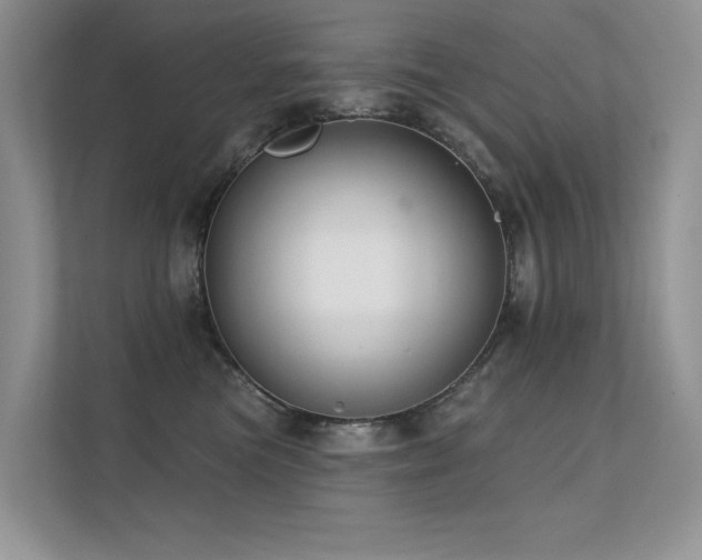 X0000112380473200908131532