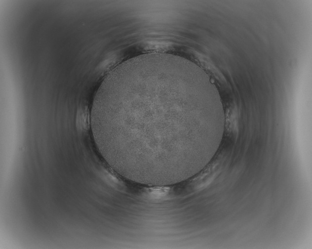 X0000112380474200908131532