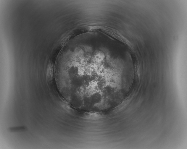 X0000112380475200908131532